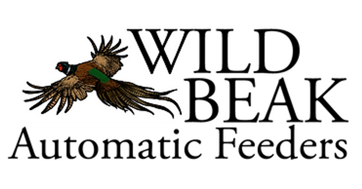 Wild beak automatic feeders top